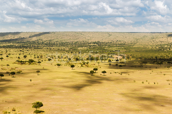 maasai mara national reserve savanna at africa Stock photo © dolgachov