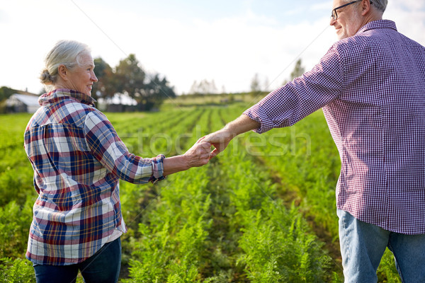 Heureux couple de personnes âgées mains tenant été ferme [[stock_photo]] © dolgachov