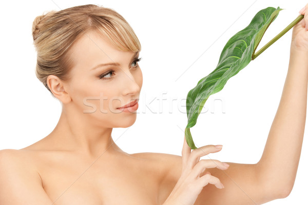 Kobieta zielony liść zdjęcie biały szczęśliwy zdrowia Zdjęcia stock © dolgachov