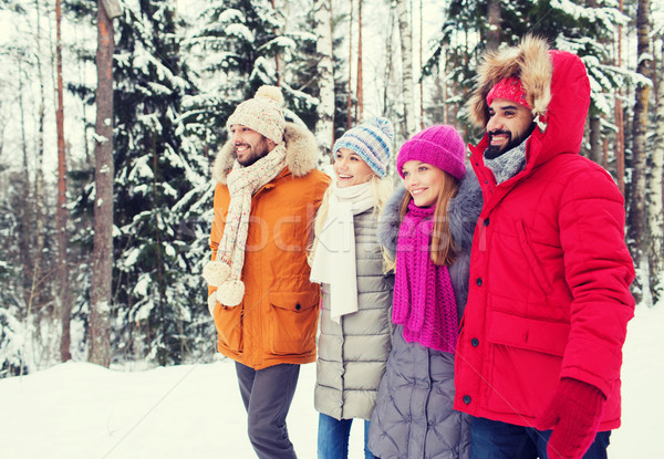 Gruppe lächelnd Männer Frauen Winter Wald Stock foto © dolgachov