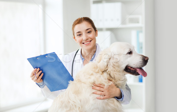 Heureux médecin retriever chien vétérinaire clinique Photo stock © dolgachov