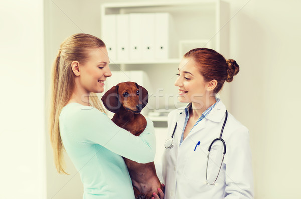 Fericit femeie câine medic clinică Imagine de stoc © dolgachov
