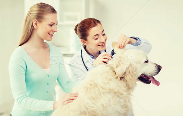 happy woman with dog and doctor at vet clinic Stock photo © dolgachov