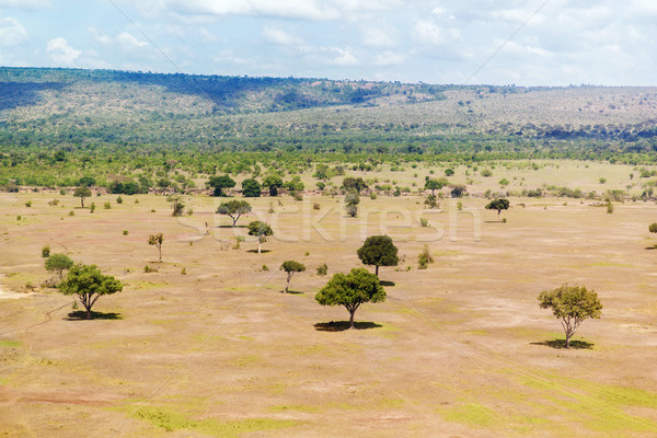 view to maasai mara savannah landscape in africa Stock photo © dolgachov