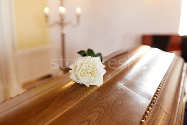 Alb trandafir floare sicriu biserică Imagine de stoc © dolgachov