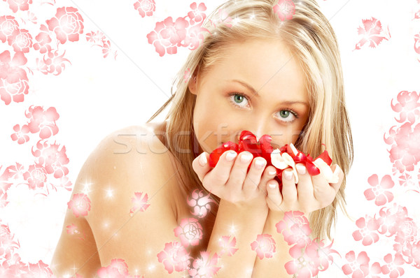 Loiro vermelho branco pétalas de rosa prestados flores Foto stock © dolgachov