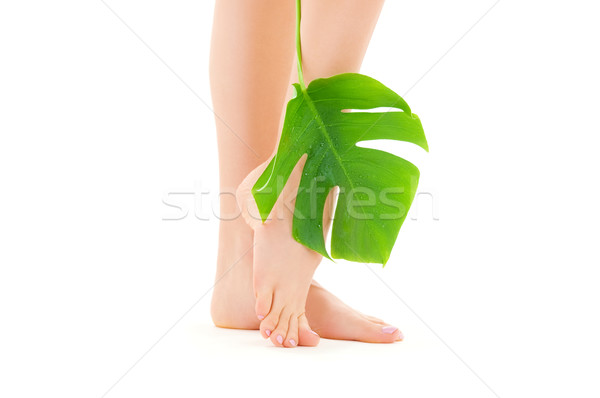 Kadın bacaklar yeşil yaprak resim beyaz kadın Stok fotoğraf © dolgachov