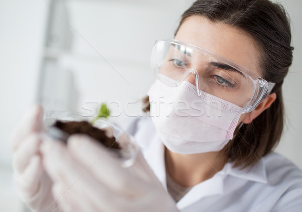 close up of scientist with plant and soil in lab Stock photo © dolgachov