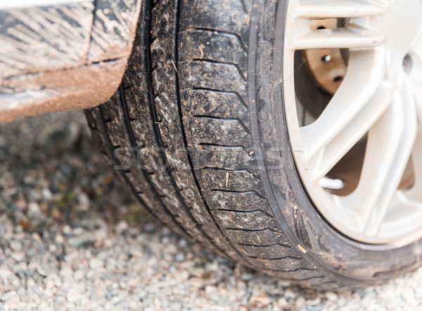 close up of dirty car wheel on ground Stock photo © dolgachov