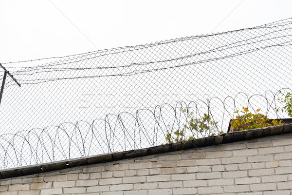 barb wire fence over gray sky Stock photo © dolgachov