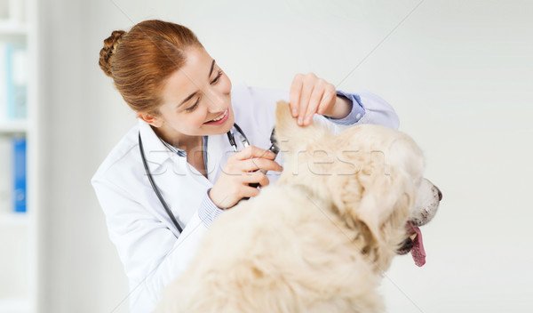 Stock photo: happy doctor with otoscope and dog at vet clinic