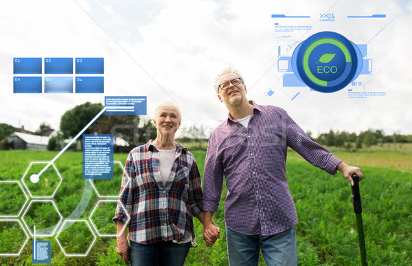 Glücklich Sommer Bauernhof Landwirtschaft Stock foto © dolgachov