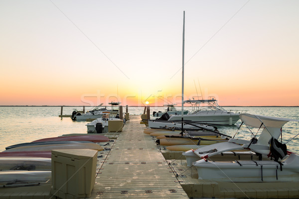 boats moored to pier at sundown Stock photo © dolgachov