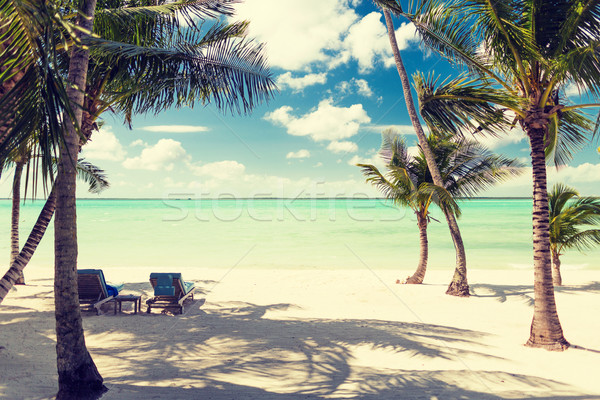tropical beach with palm trees Stock photo © dolgachov