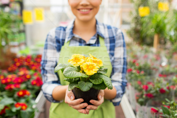 Stock photo: close up of woman holding flowers in greenhouse