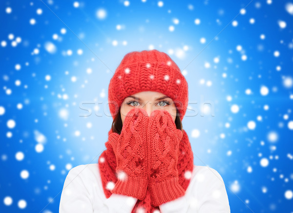 Zâmbitor iarnă haine fericire concediu Imagine de stoc © dolgachov