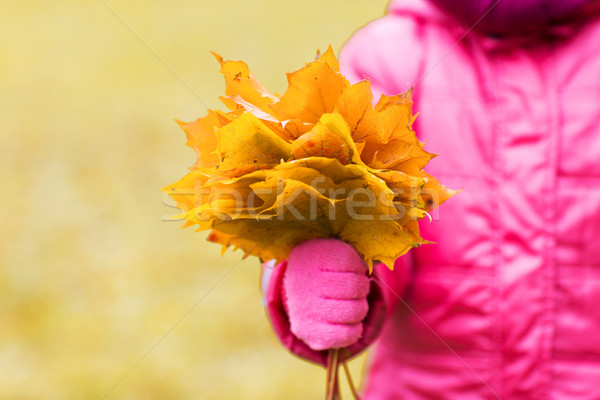 Foto stock: Nina · arce · hojas · aire · libre