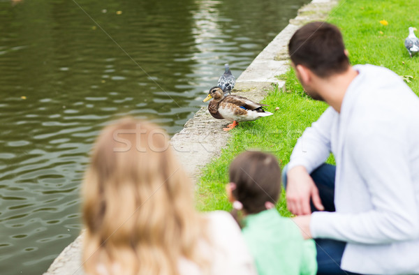 Aile bakıyor ördek yaz gölet park Stok fotoğraf © dolgachov