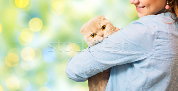 happy woman holding scottish fold cat over green Stock photo © dolgachov