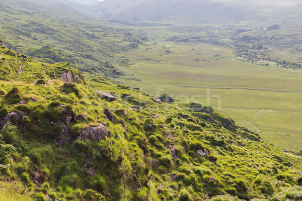 view to Killarney National Park valley in ireland Stock photo © dolgachov