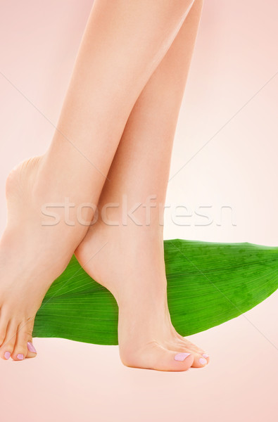 female legs with green leaf Stock photo © dolgachov