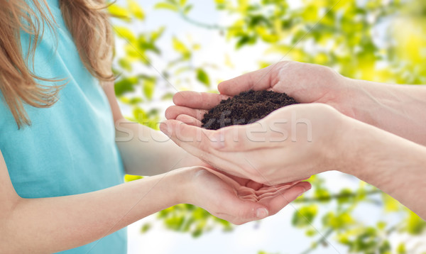 close up of father and girl hands holding sprout Stock photo © dolgachov