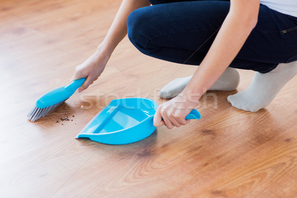 close up of woman with brush and dustpan sweeping Stock photo © dolgachov