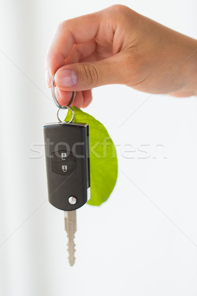 close up of hand holding car key with green leaf Stock photo © dolgachov