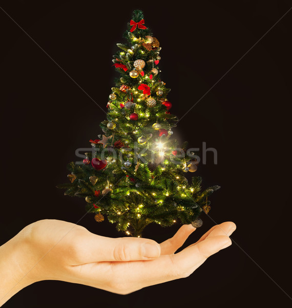hand holding decorated christmas tree Stock photo © dolgachov