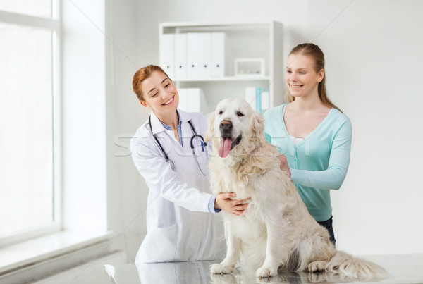 Fericit femeie câine medic clinică Imagine de stoc © dolgachov