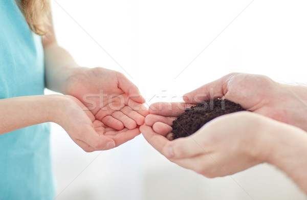 close up of father and girl hands holding sprout Stock photo © dolgachov