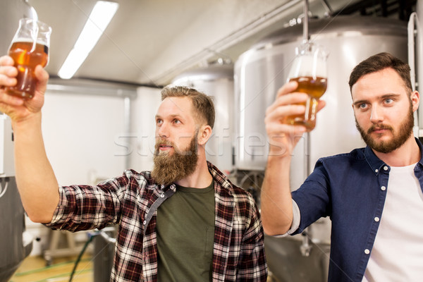 Erkekler içme test bira bira fabrikası alkol Stok fotoğraf © dolgachov
