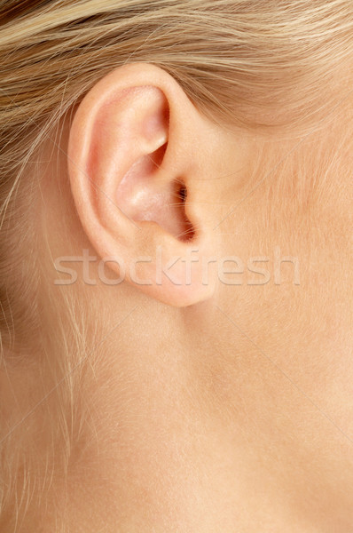 Stock photo: ear of blond 
