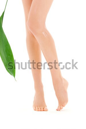 Női lábak zöld levél kép fehér nő Stock fotó © dolgachov