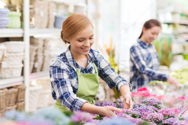 happy woman taking care of flowers in greenhouse Stock photo © dolgachov