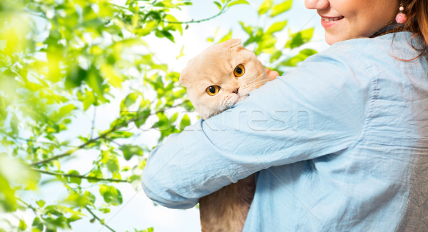 woman holding scottish fold cat over tree Stock photo © dolgachov