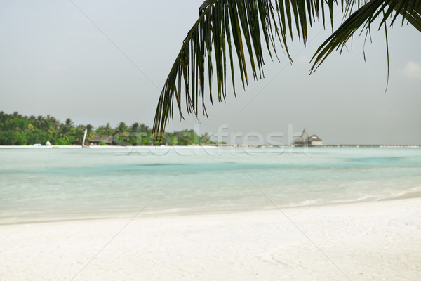 Maldive isola spiaggia palma villa viaggio Foto d'archivio © dolgachov
