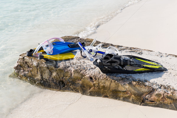 Nurkowania narzędzi plaży snorkeling wypoczynku lata Zdjęcia stock © dolgachov