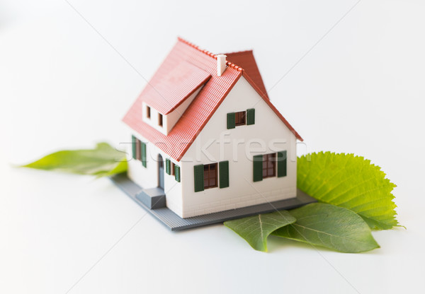 close up of house model and green leaves Stock photo © dolgachov