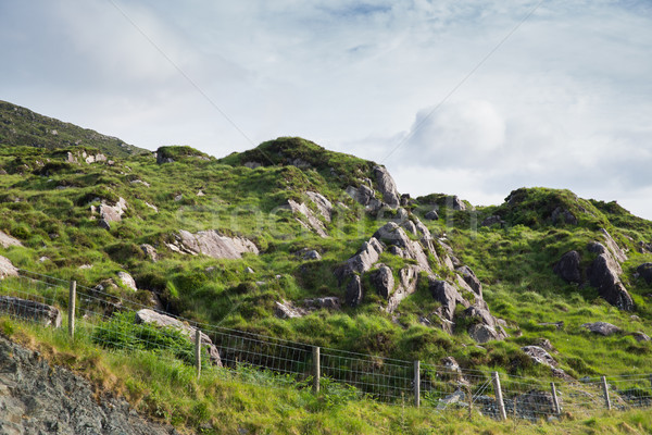 view to rocky hills in ireland Stock photo © dolgachov