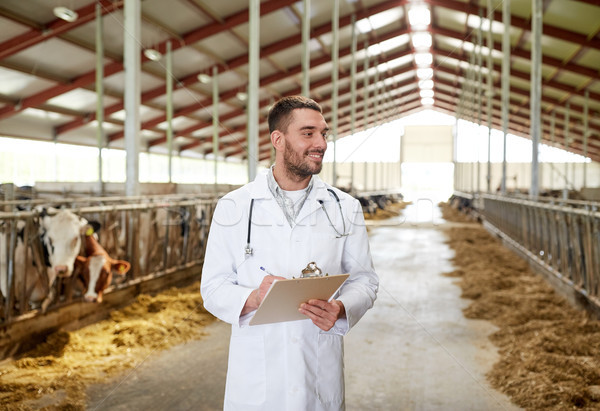 Stock photo: veterinarian with cows in cowshed on dairy farm