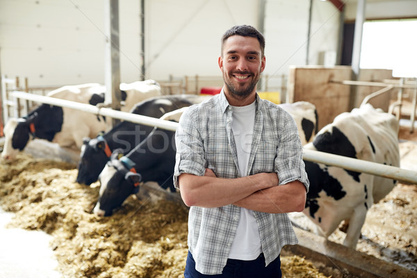 Stock photo: man or farmer with cows in cowshed on dairy farm