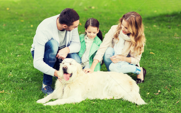 Boldog család labrador retriever kutya park család díszállat Stock fotó © dolgachov