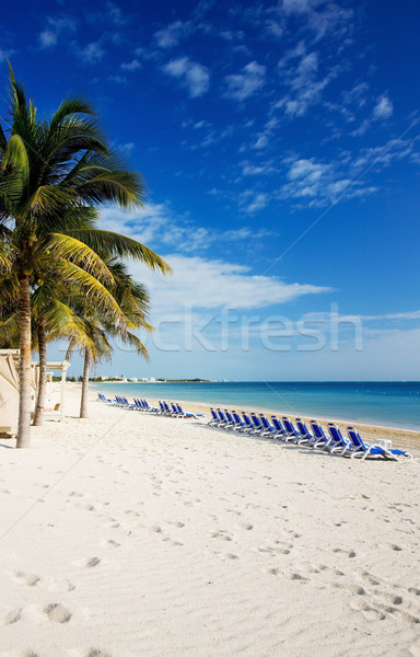 tropical resort Stock photo © dolgachov