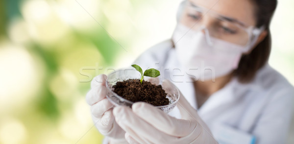 close up of scientist with plant and soil Stock photo © dolgachov