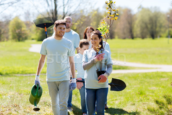 Csoport önkéntesek fák gereblye park önkéntesség Stock fotó © dolgachov