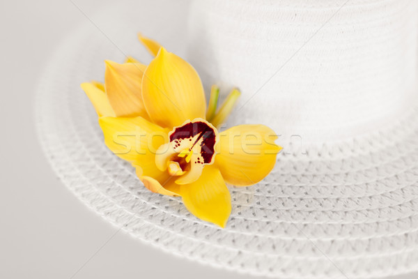 closeup of white hat and flowers Stock photo © dolgachov