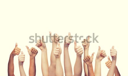 Emberi kezek mutat remek kézmozdulat testrészek Stock fotó © dolgachov