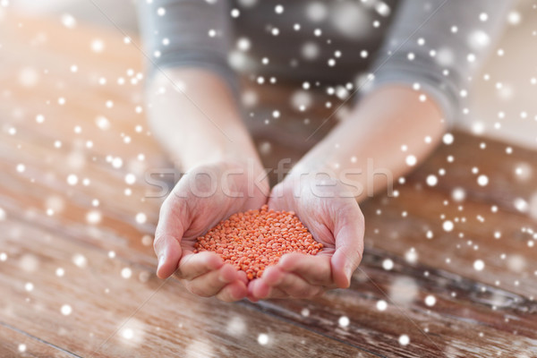 close up of woman emptying jar with red lentils Stock photo © dolgachov