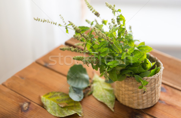 close up of melissa in basket on wooden table Stock photo © dolgachov